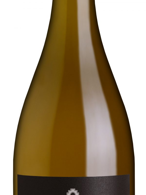 Laborum de Parcela Torrontés