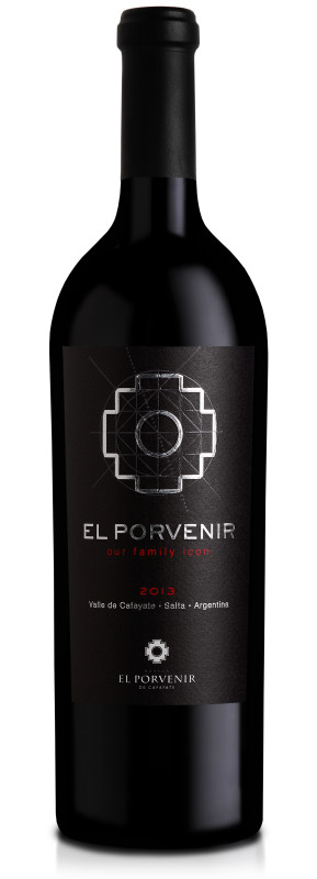 Porvenir Icono
