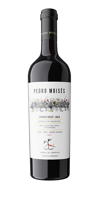 Pedro Moisés